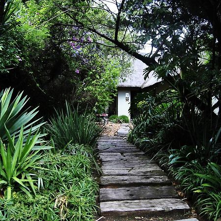 Birch Tree Cottage Johannesburg Exterior photo