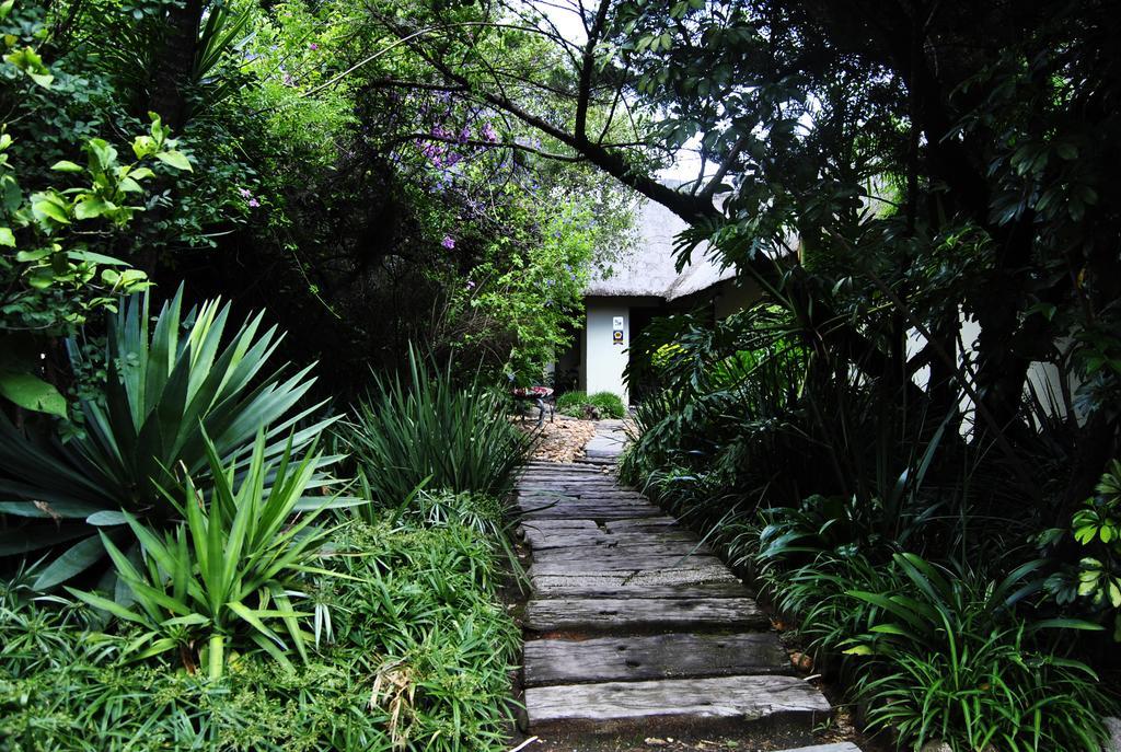 Birch Tree Cottage Johannesburg Exterior photo