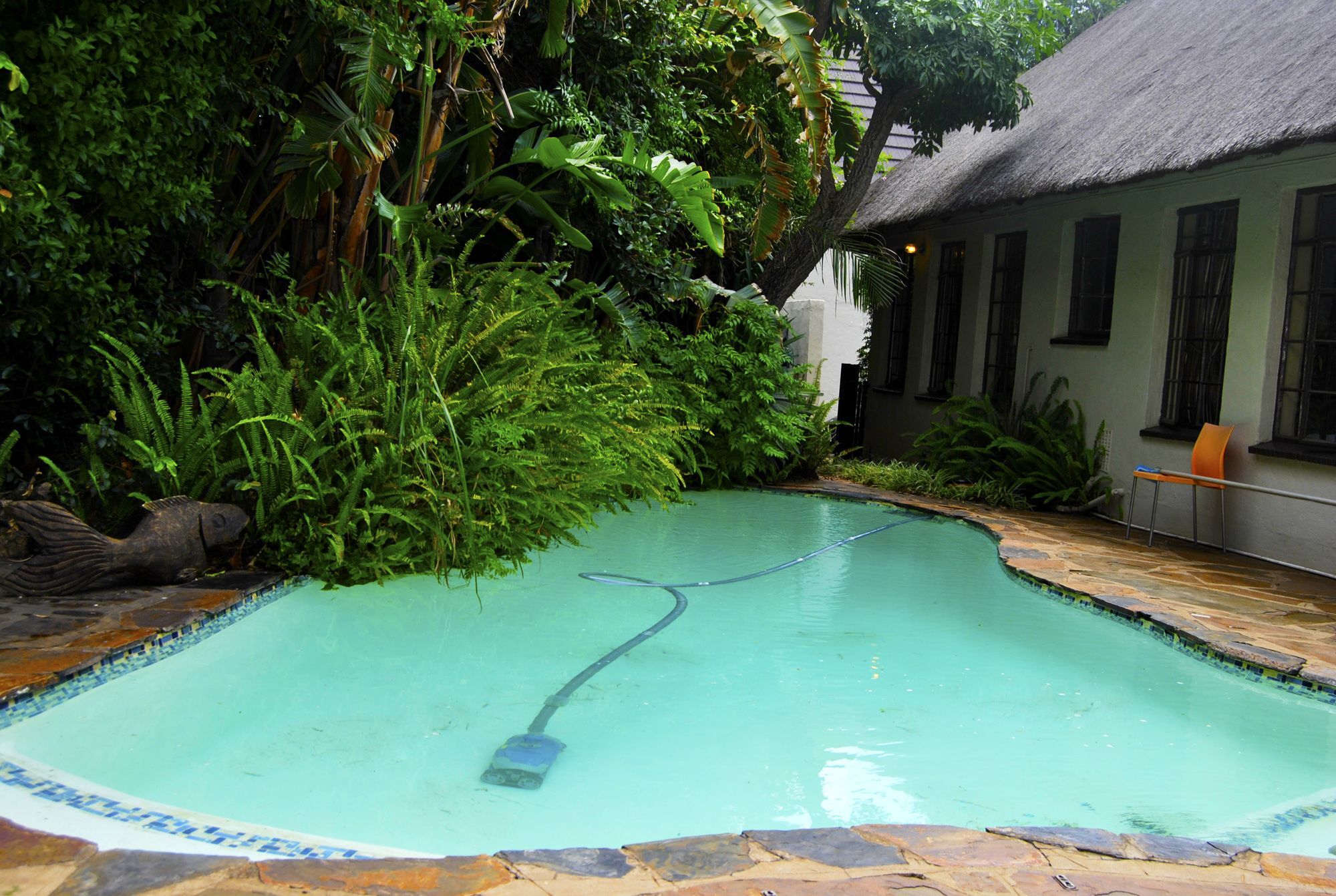 Birch Tree Cottage Johannesburg Exterior photo